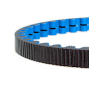 115 tooth cdx belt blue