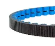 158 tooth cdx belt blue