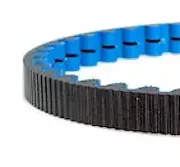 158 tooth cdx belt blue